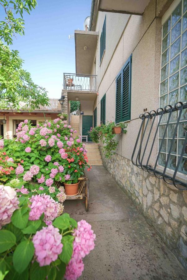 Apartments Micin Vodice Exterior photo